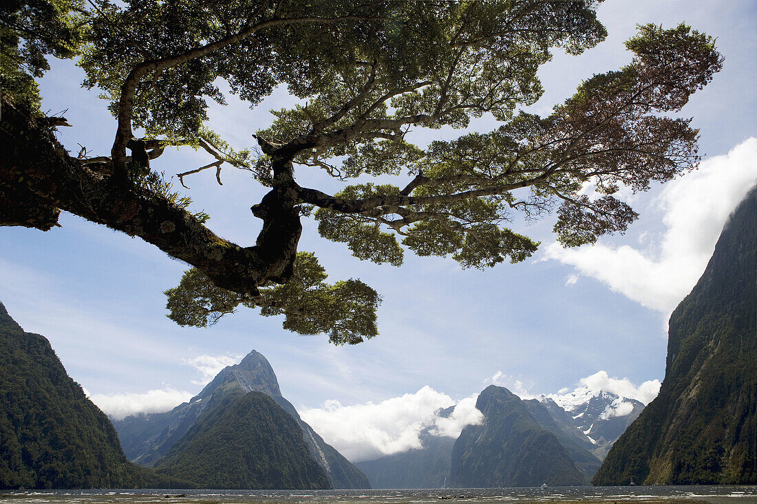 Milford Sound, Südinsel, Neuseeland