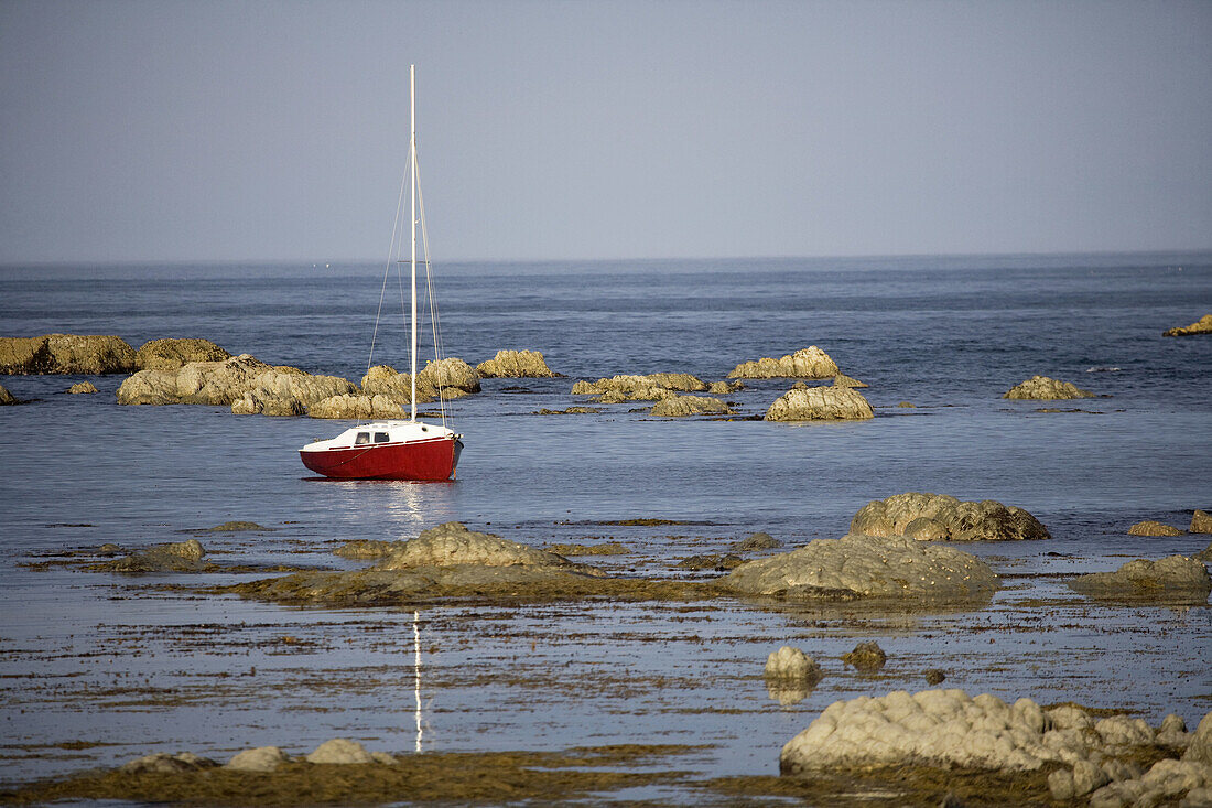 Kaikoura,  South Island,  New Zealand