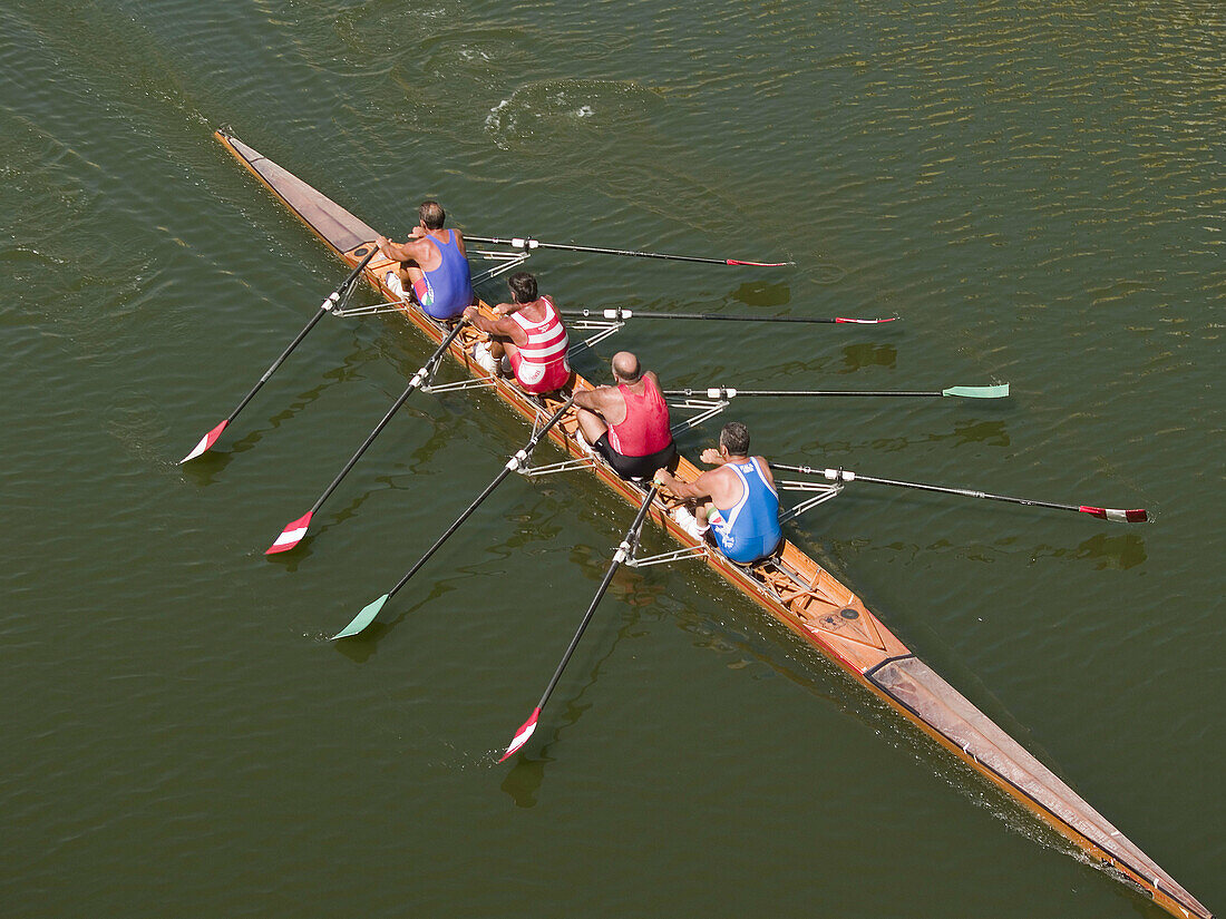 Rowers on the river in Florence, Italy
