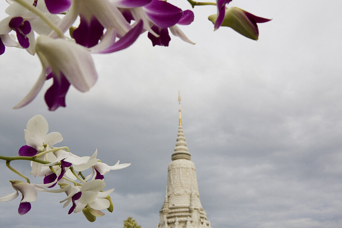 Orchids in front of a stupa under grey clouds, Phnom Penh, Cambodia, Asia