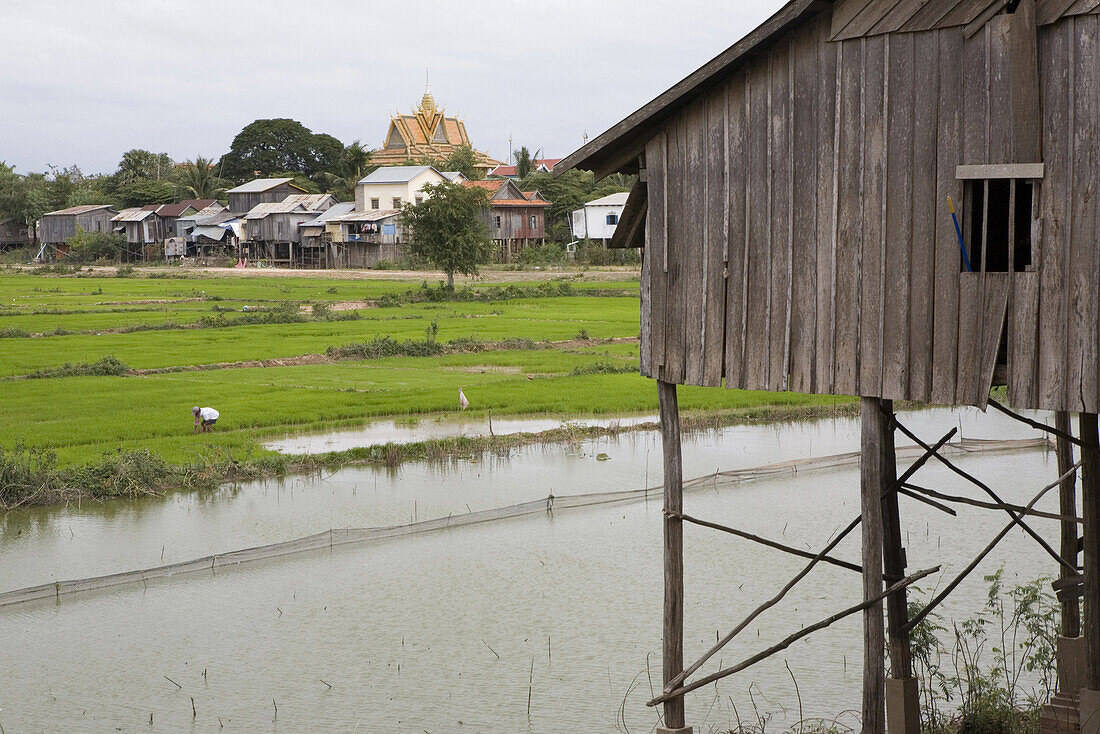 Hut on stilts and rice fields under clouded sky, Udong, Phnom Penh Province, Cambodia, Asia