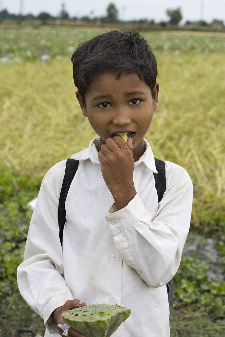 Cambodian boy eating a lotus fruit, Phnom Penh Province, Cambodia, Asia