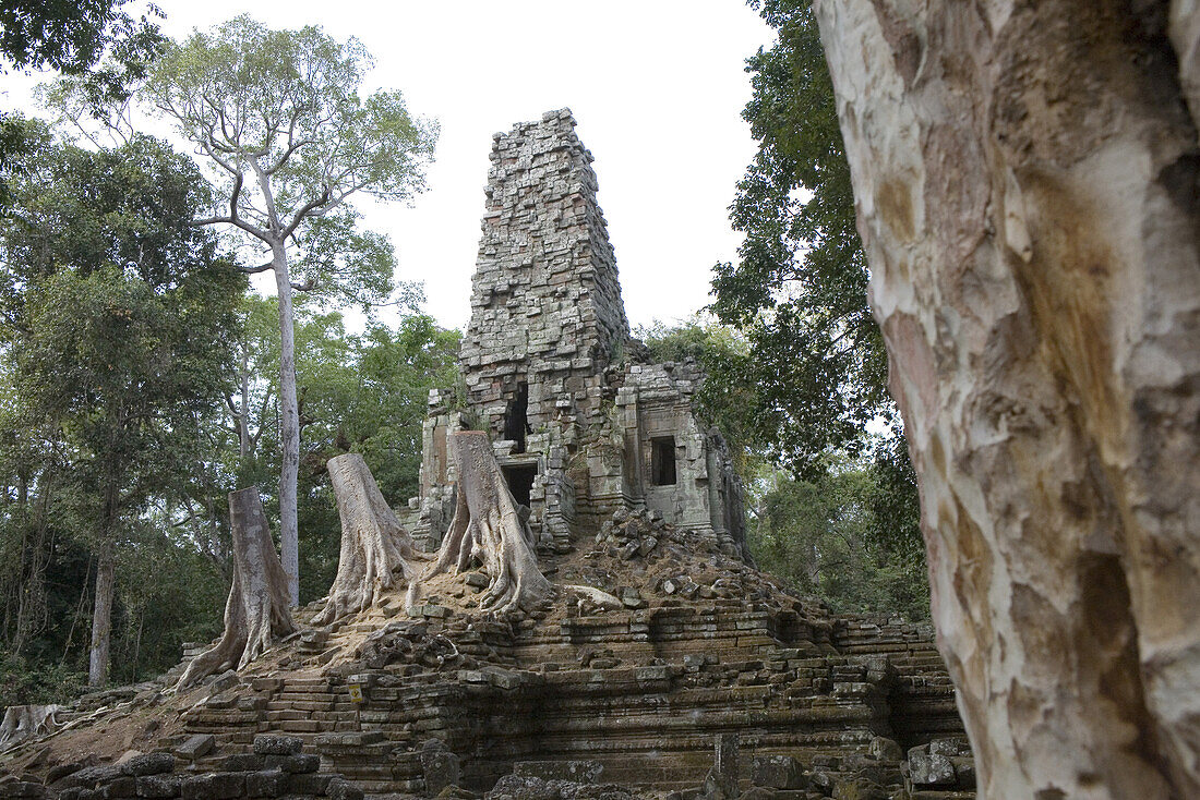 Ruine des Tempels Preah Palilay zwischen Bäumen, Angkor, Provinz Siem Reap, Kambodscha, Asien