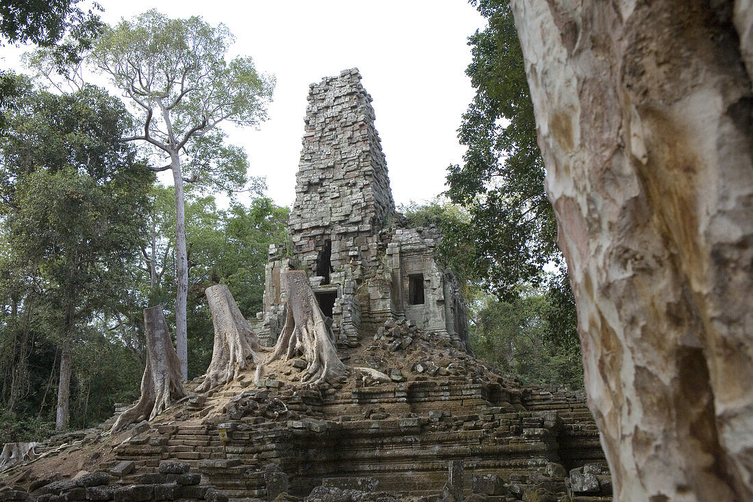 Ruins of the Preah Palilay Temple between trees at Angkor, Siem Reap Province, Cambodia, Asia