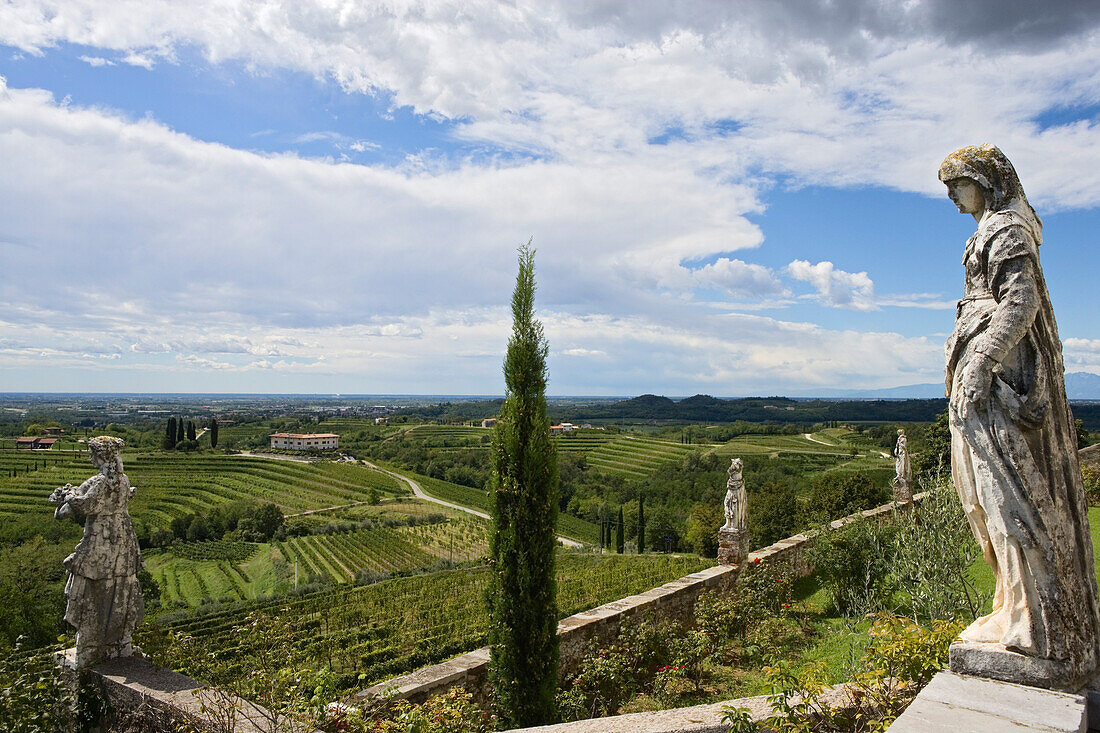 View of the rose garden at Rosazzo abbey, Friuli-Venezia Giulia, Italy
