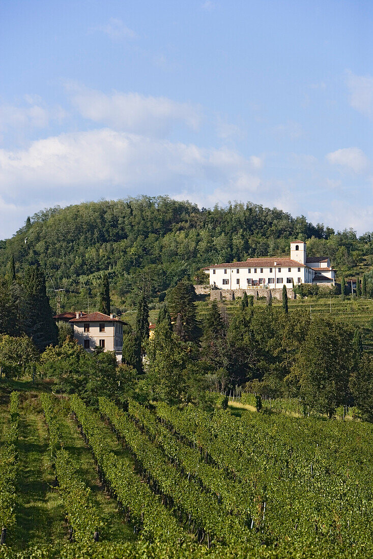 Rosazzo abbey, Friuli-Venezia Giulia, Italy