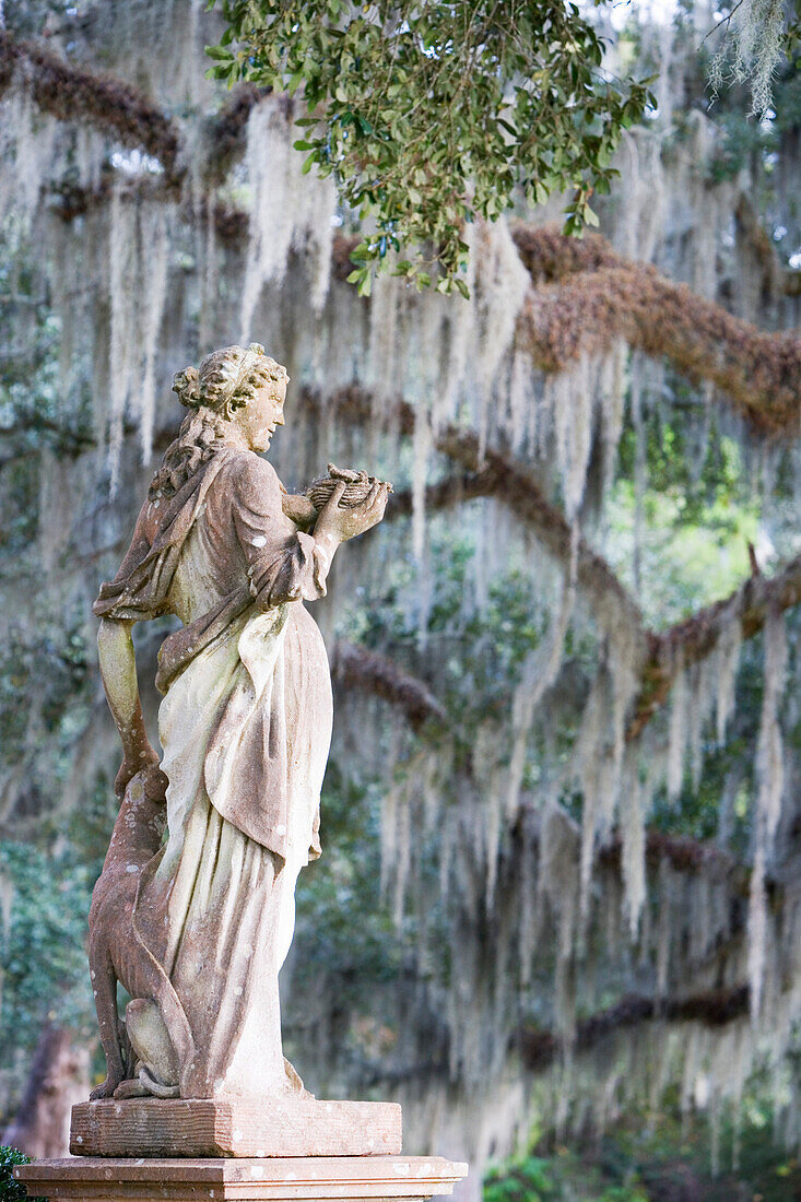 A statue and old oak trees overgrown with spanish moss, Afton Villa Gardens, St. Francisville, Louisiana, USA