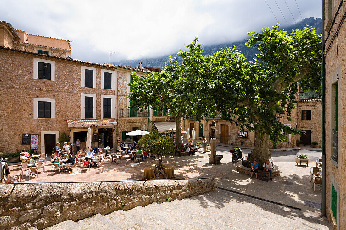 Straßencafe unter Bäumen im Sonnenlicht, Fornalutx, Mallorca, Balearen, Spanien, Europa