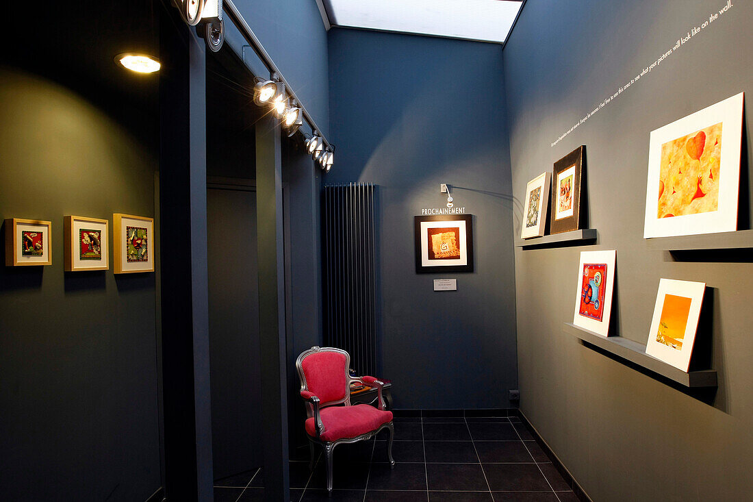 Carre D'Artistes' Gallery, Lille, Nord (59), France