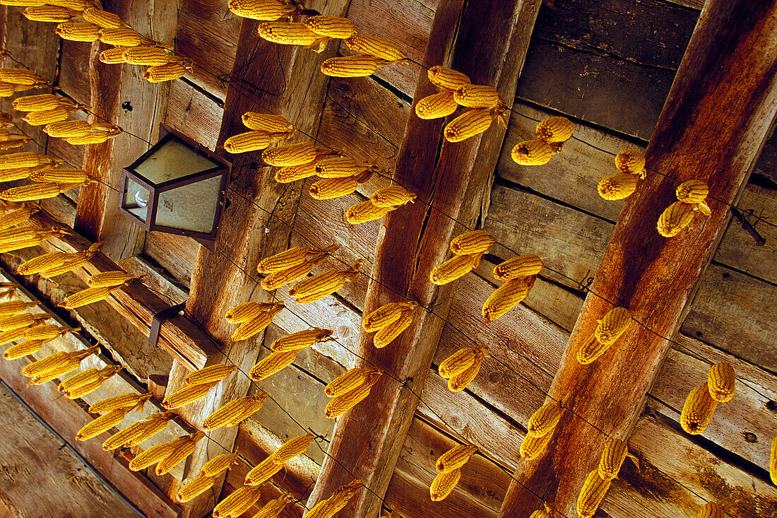 Corn Drying Under A Roof In Perouges, Ain (01), France