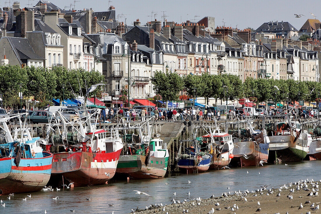 Boat And Seagulls, The Port Of Trouville-Sur-Mer, Calvados (14), Normandy, France