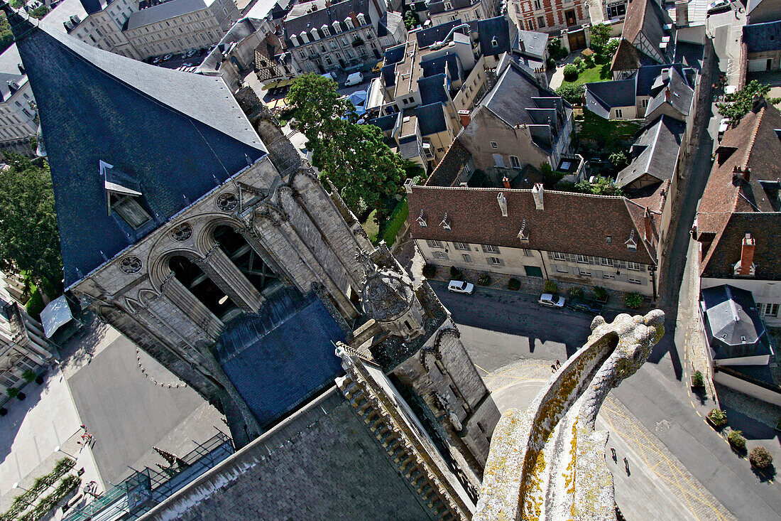 Gargoyle, View From The Great Tower, Cathedral, Bourges, Cher (18), France