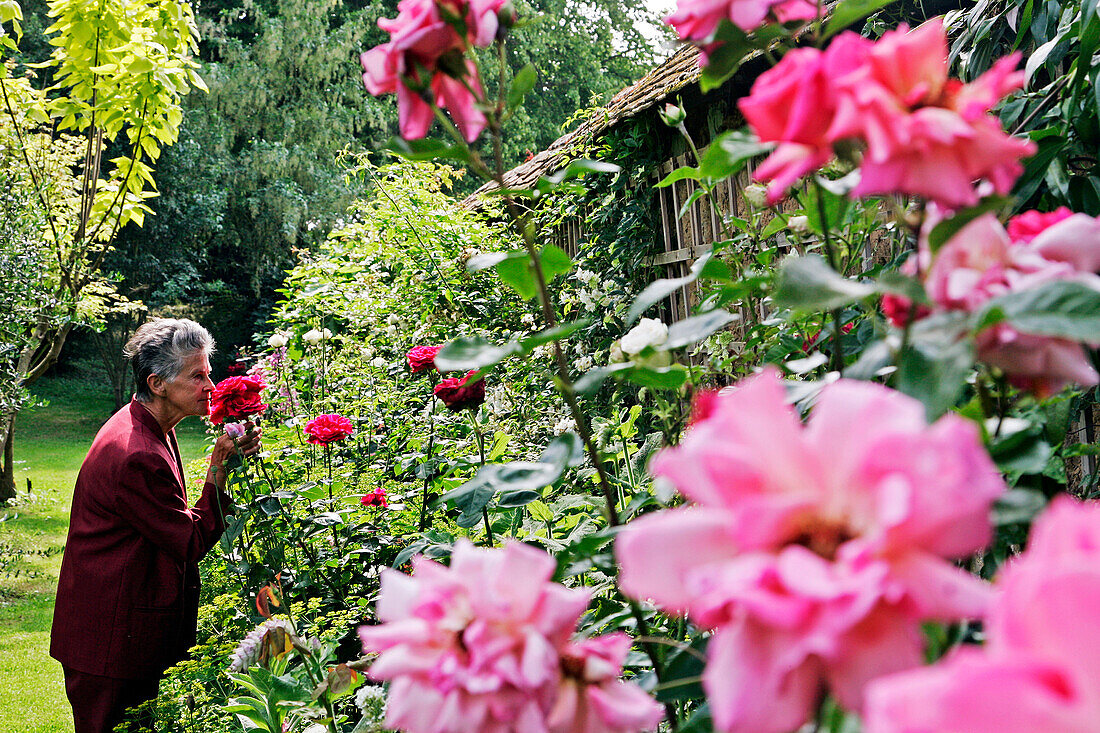 Garden And Rose Garden Of The Chateau Of Miserey, Eure (27), Normandy, France