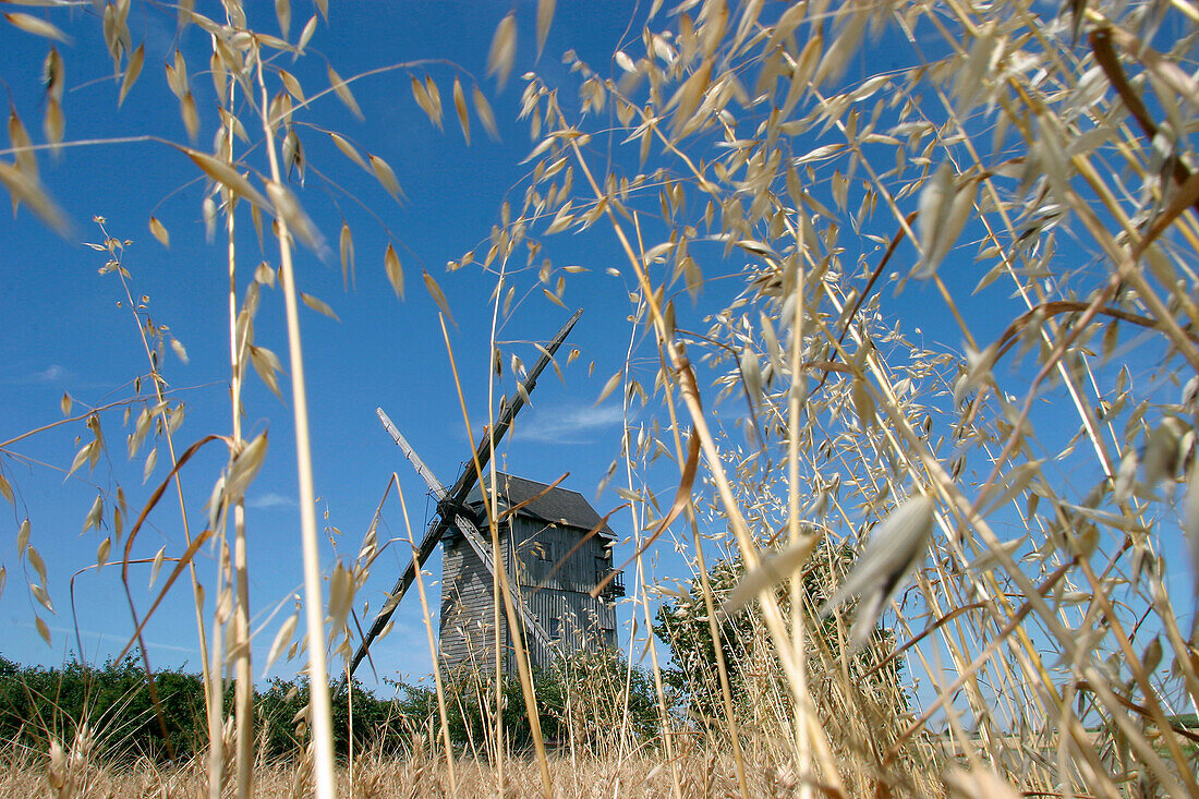 Wheat And Mill, Moutiers-En-Beauce, Eure-Et-Loir (28), France