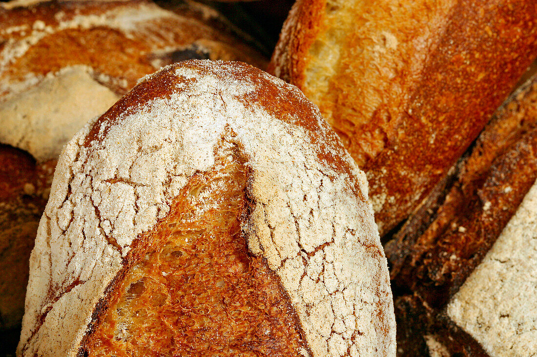 Bread Made With Wheat From The Beauce, Eure-Et-Loir (28), France