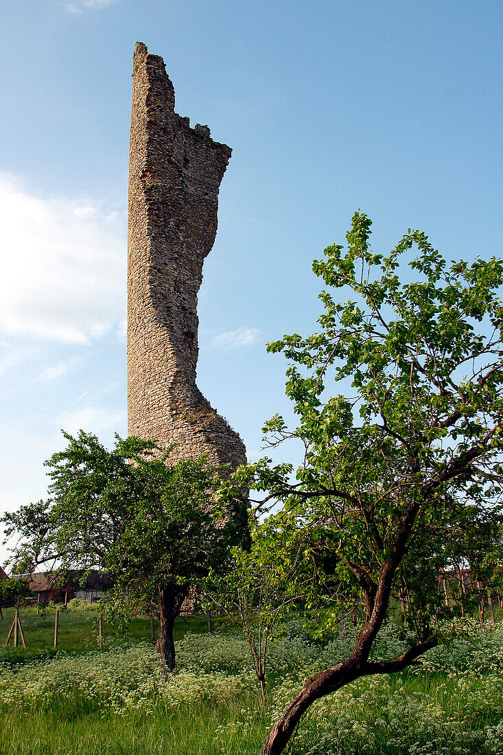 Ruins Of The 12Th Century Keep, Epaule De Gallardon, Eure-Et-Loir (28), France