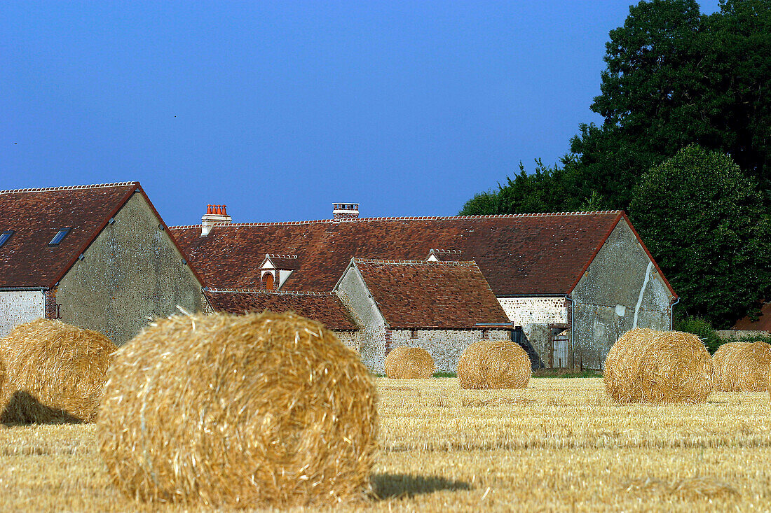 Bales Of Straw In Front Of The Farm, Saint-Eliph, Eure-Et-Loir (28), France