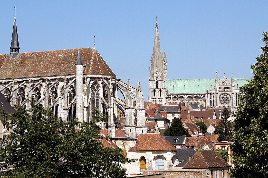 Chartres Cathedral And The Saint-Andre Collegiate Church, Eure-Et-Loir (28), France