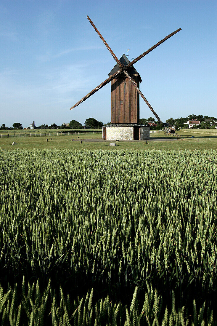 The Windmill Of Sancheville, Eure-Et-Loir (28), France