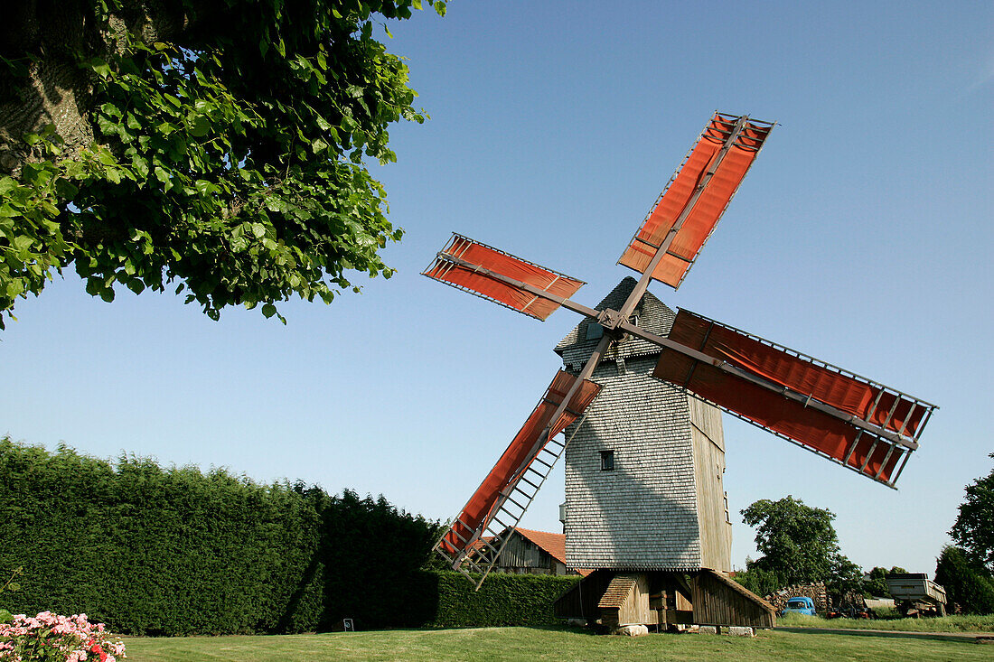 The Windmill Of The Bois De Feugeres, Eure-Et-Loir (28), France