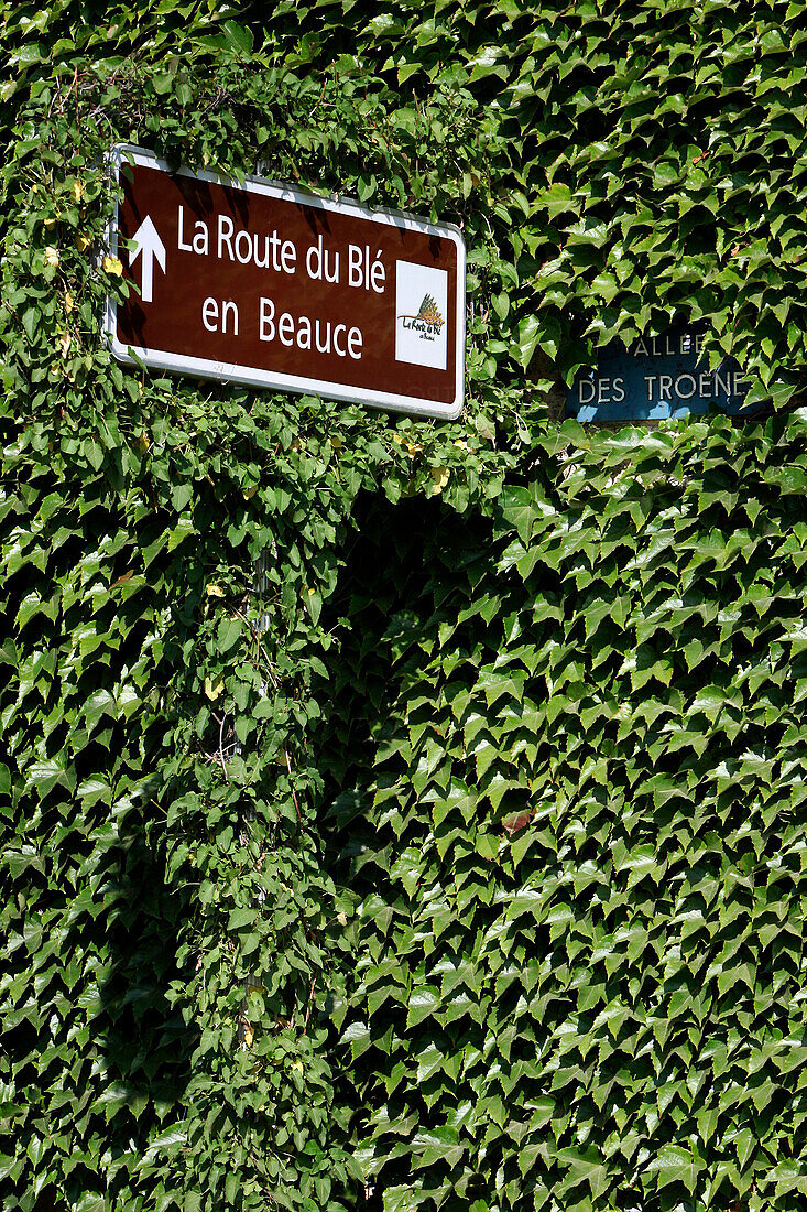 Sign For The Wheat Route In Beauce, Eure-Et-Loir (28), France