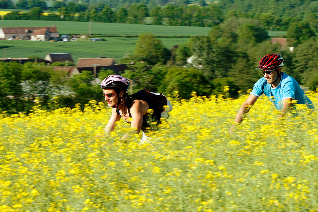 Couple On Mountain Bikes In A Colza Field Between Marolles-Les-Buis And Coudreceau, Perche Near Nogent-Le-Rotrou, Eure-Et-Loir (28), France