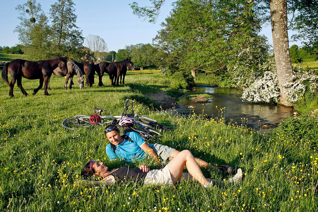 A Couple With Mountain Bikes Lying In The Grass Near A Stream In A Field Amongst Percheron Horses, Valley Of La Cloche, Ozee, Perche Near Nogent-Le-Rotrou, Eure-Et-Loir (28), France