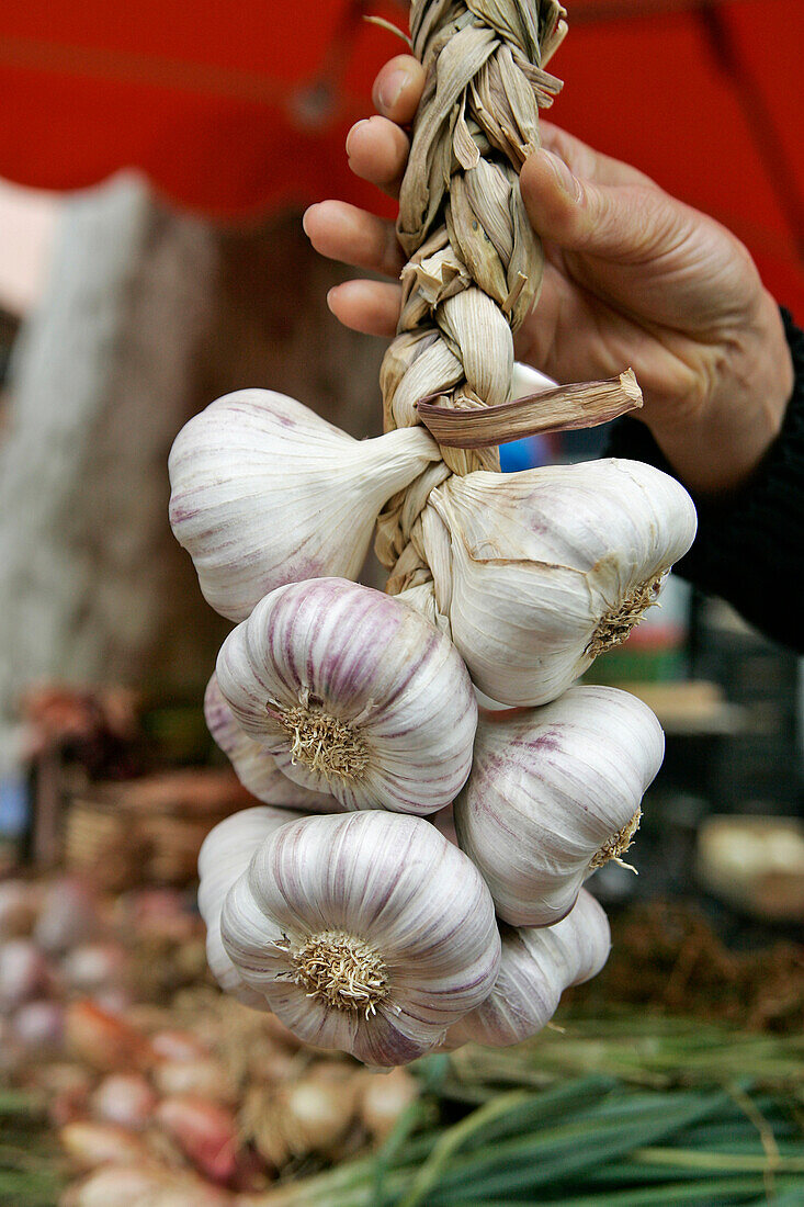 Garlic Tresses, Saunt-Aubin Market, Toulouse, Haute-Garonne (31), France