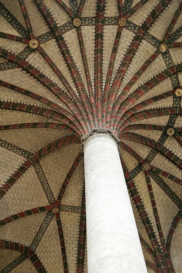 Seventh Column Which Supports An Extraordinary Network Of 22 Diagonal Ribs Earning It The Name Of Palm Tree, Jacobins Convent, Toulouse, Haute-Garonne (31), France