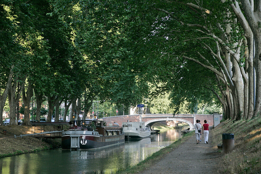 A Stroll Along The Canal Of Brienne, Toulouse, Haute-Garonne (31), France
