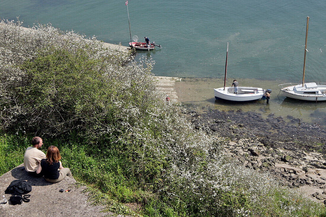 Romantic Walk, Banks Of The Rance, Port Saint-Hubert, Ille-Et-Vilaine (35), France