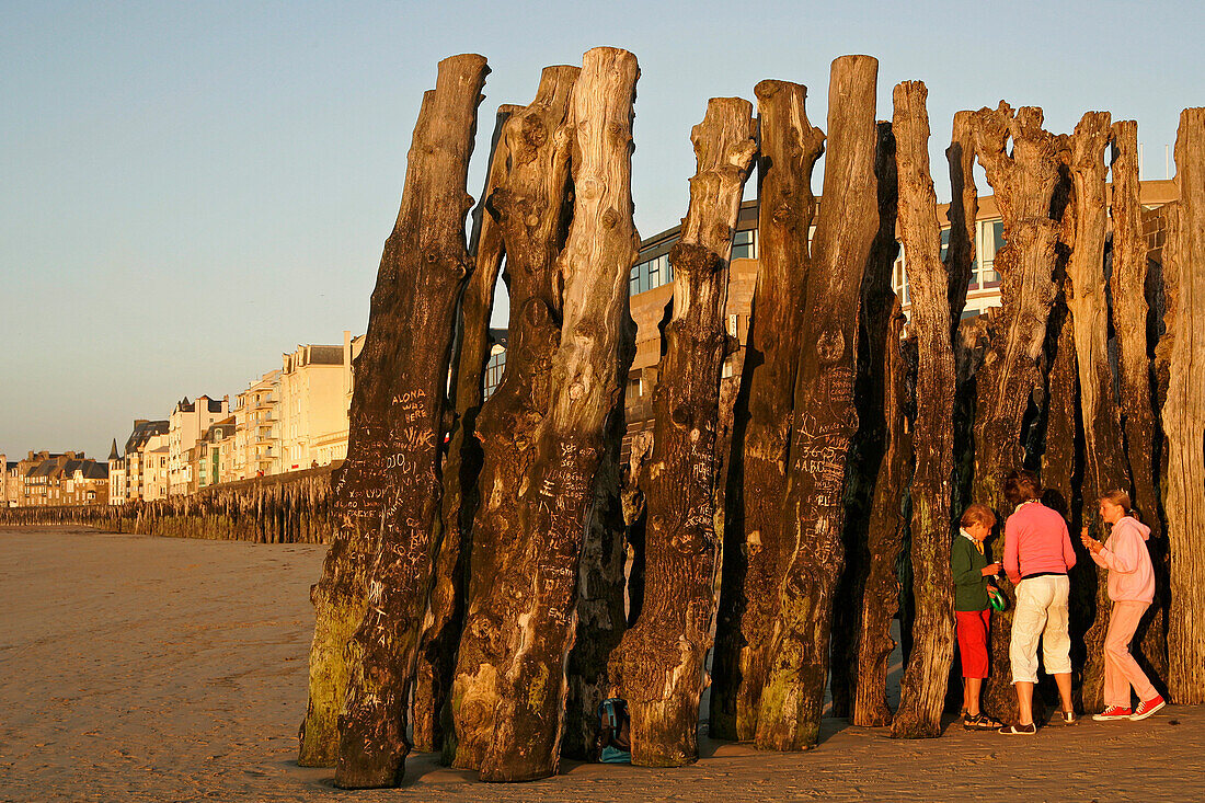 Wood Posts On The Sillon Beach, Saint-Malo, Ille-Et-Vilaine (35), France