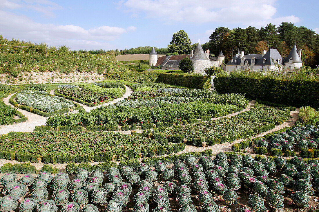The Vegetable Gardens At The Chateau De La Chatonniere, Azay-Le-Rideau, Indre-Et-Loire (37), France