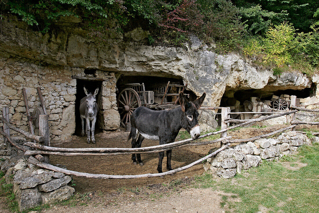 Cave Dweller'S Farm, Troglodyte Valley Of The Goupillieres, Azay-Le-Rideau, Indre-Et-Loire (37), France