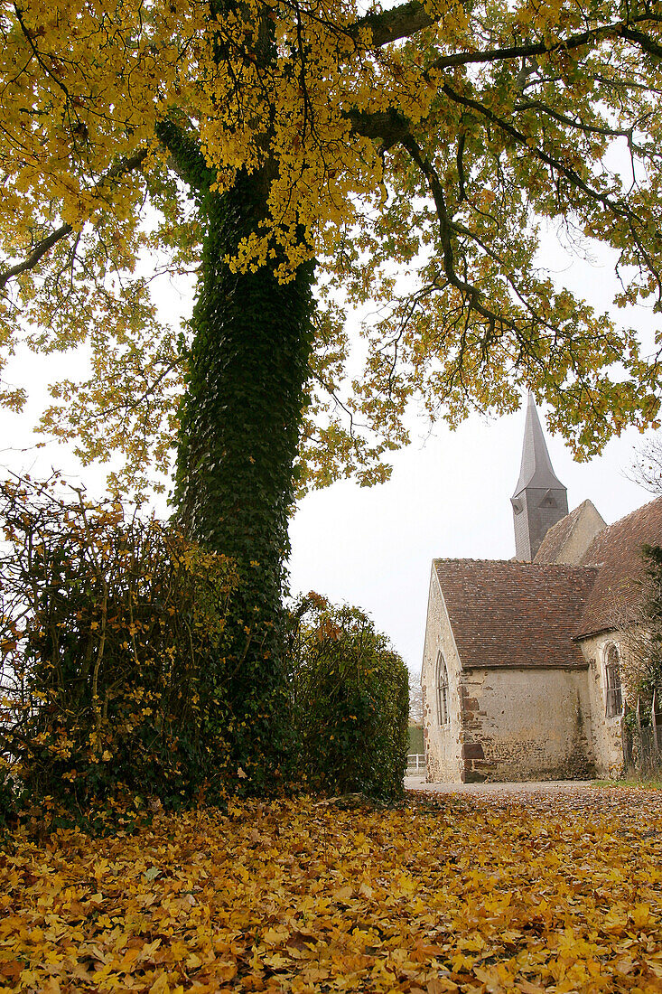 Village And Church Of La Madeleine, La Ventrouze, Orne (61), Normandy, France