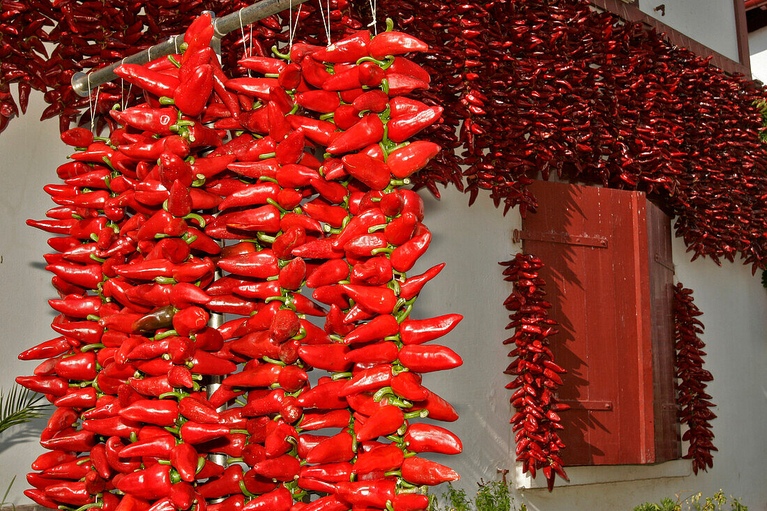 Rope Of Espelette Chilies, Pyrenees Atlantiques, (64), France, Basque Country, Basque Coast