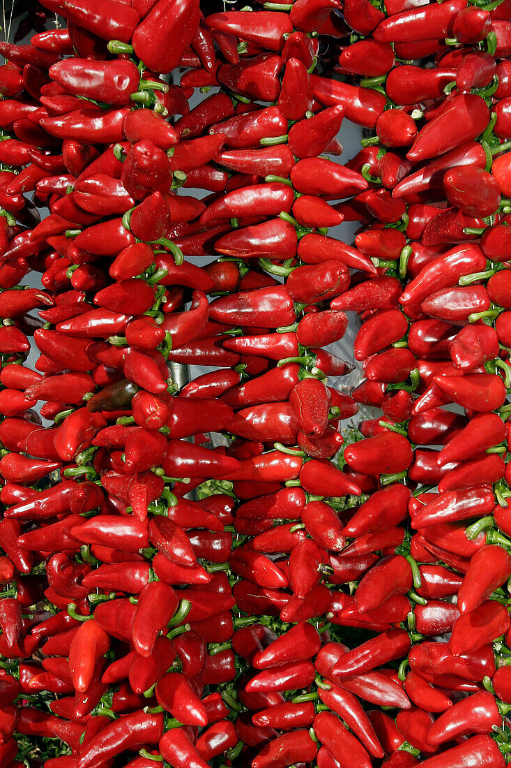 Rope Of Espelette Chilies, Espelette, Pyrenees Atlantiques, (64), France, Basque Country, Basque Coast