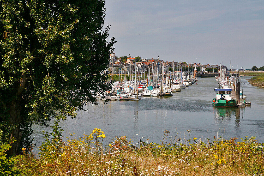 The Marina Of Saint-Valery-Sur-Somme, Somme (80), Picardie, France