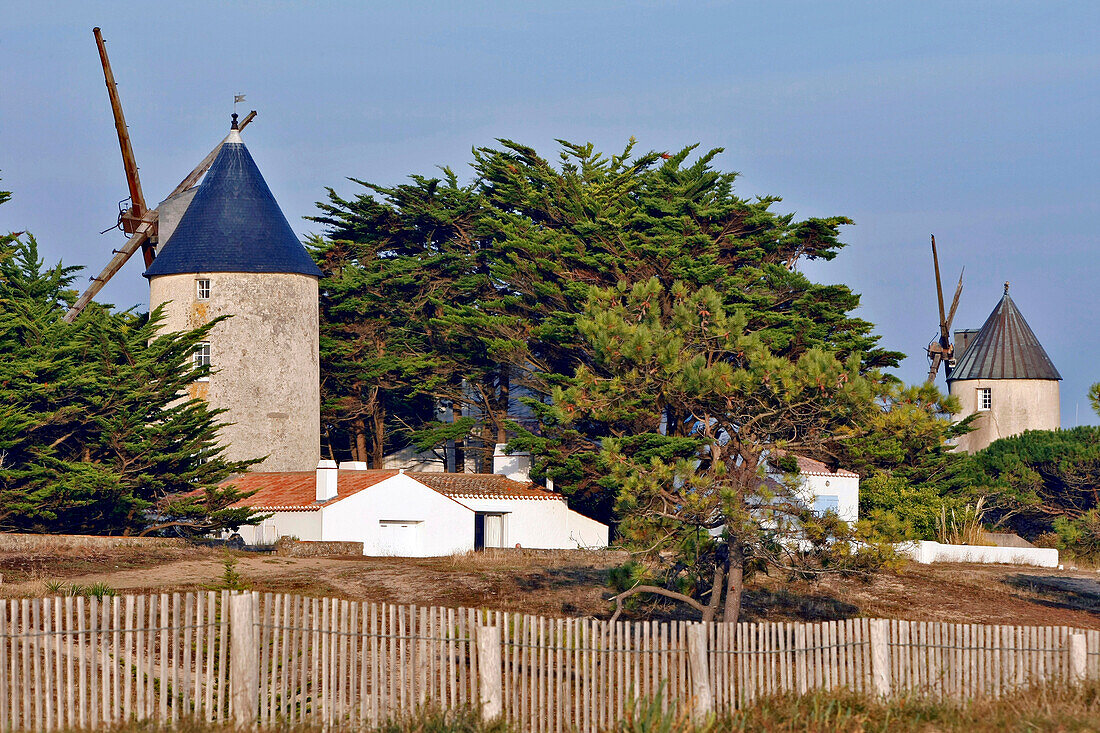 The Barbatre Mills, Isle Of Noirmoutier, Vendee (85), France