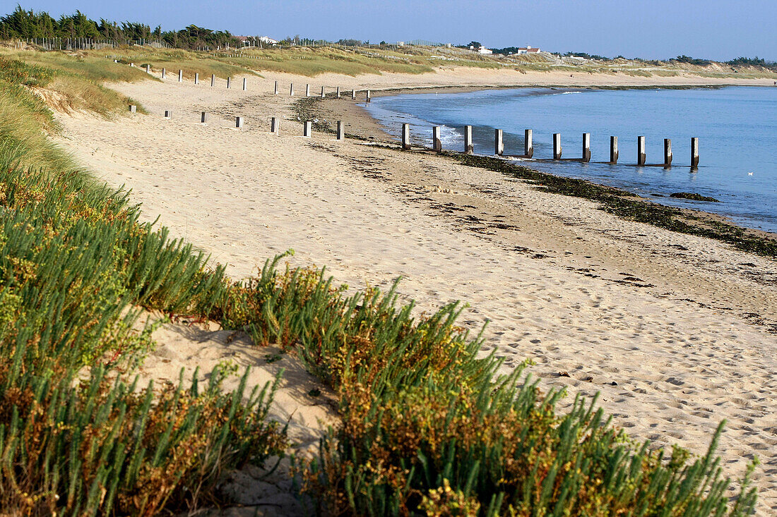 Barbatre Beach, Ile De Noirmoutier, Vendee (85), France