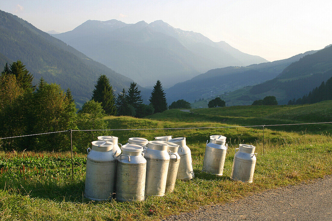 Collecting Milk From The High Mountain Pasture, Beaufortin