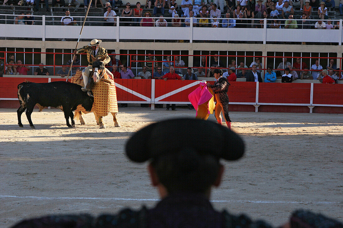 Bullfights, Crossbred Camargue-Spanish Combat Bull, Saint Gilles Arena, The Putting To Death, Toreador, Gard (30)