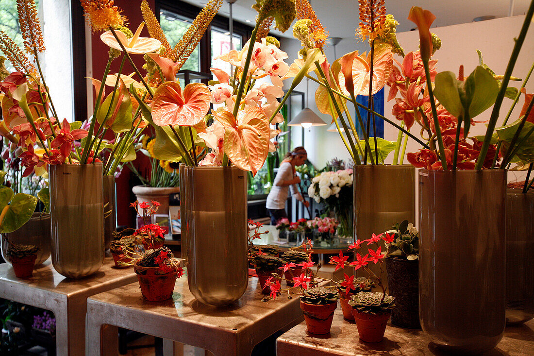 Florist Arranging Flowers, Boutique Rosenkavalier, Vienna, Austria