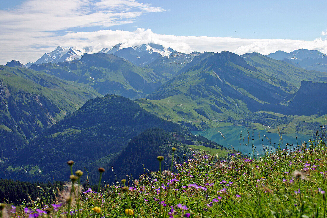 Roseland Lake With The Mont Blanc Chain In The Background, Savoie (73)