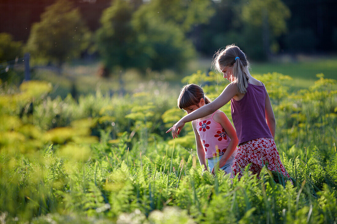 Zwei Mädchen (6-9 Jahre) in einem Gemüsebeet, Niedersachsen, Deutschland