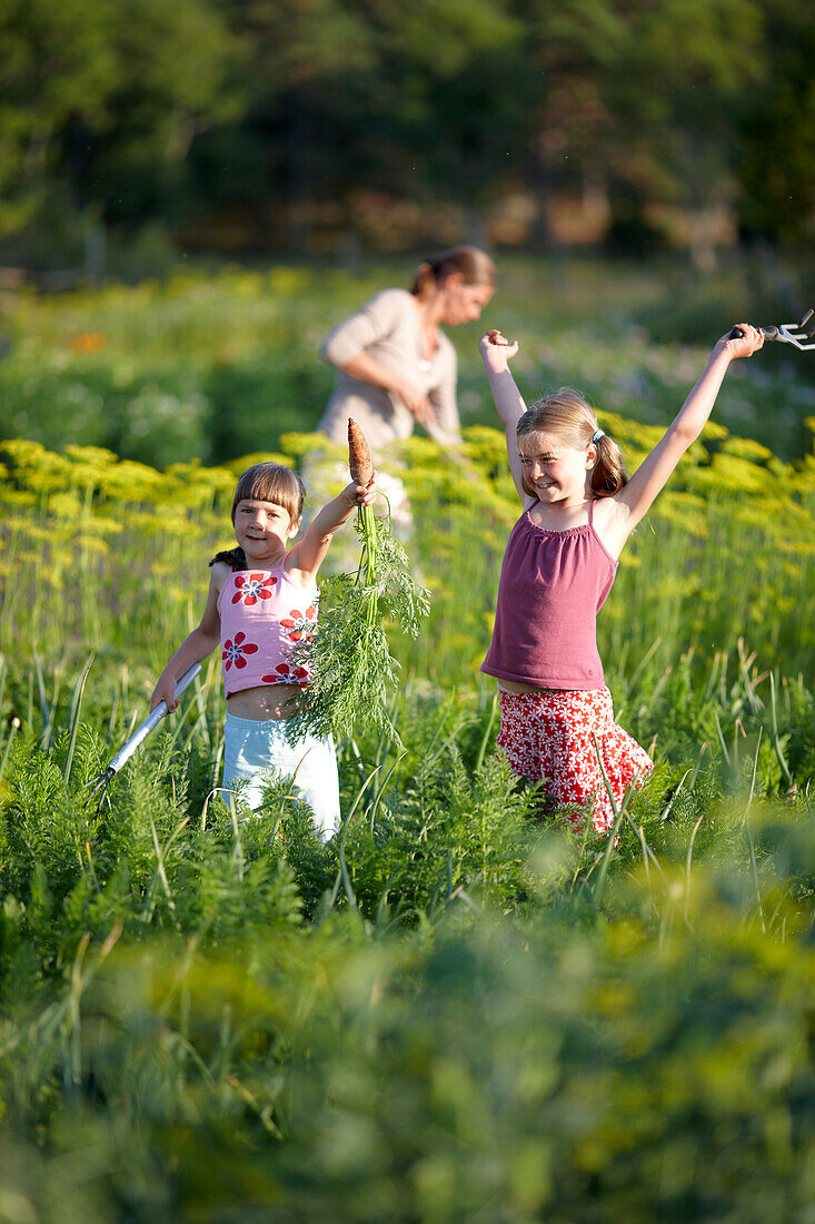 Mutter und Töchter (6-9 Jahre) in einem Gemüsegarten, Niedersachsen, Deutschland