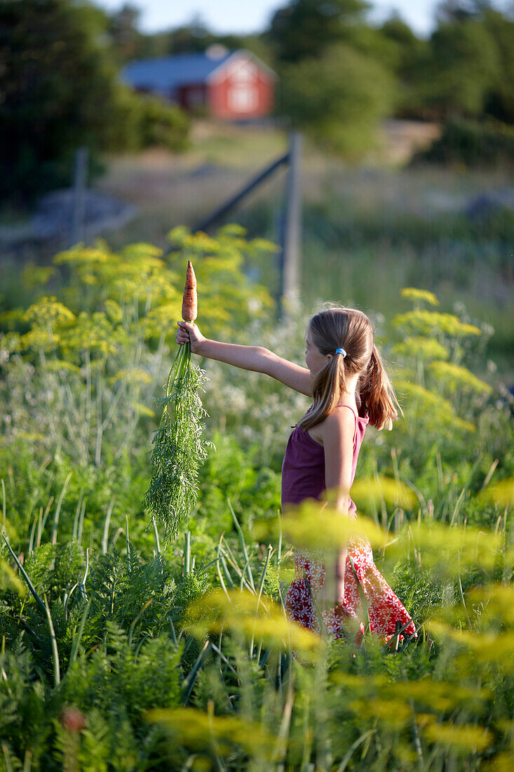 Girl (8-9 years) holding carrot, Lower Saxony, Germany