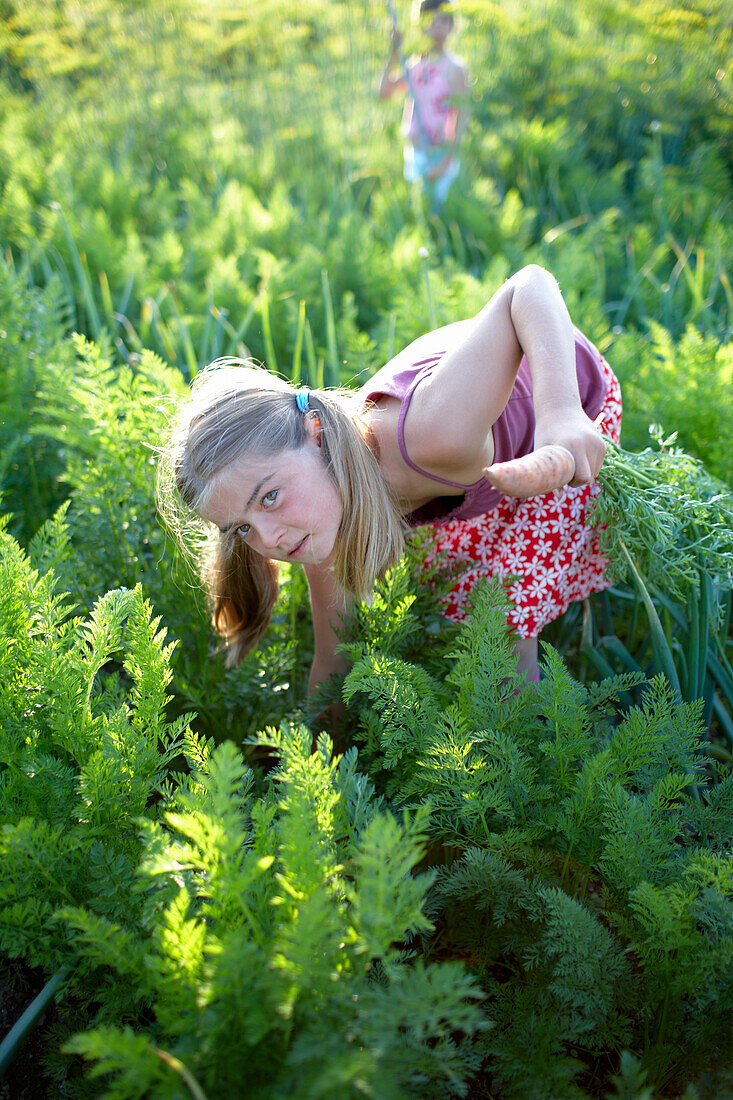 Girl (8-9 years) holding carrot, Lower Saxony, Germany