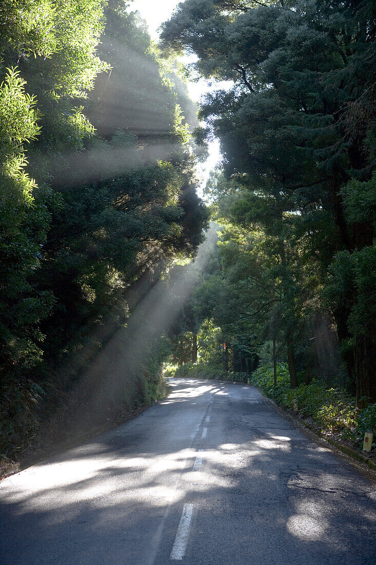 Morgendliche Sonnenstrahlen über Straße am Encumeada Pass, nahe Serra de Agua, Madeira, Portugal