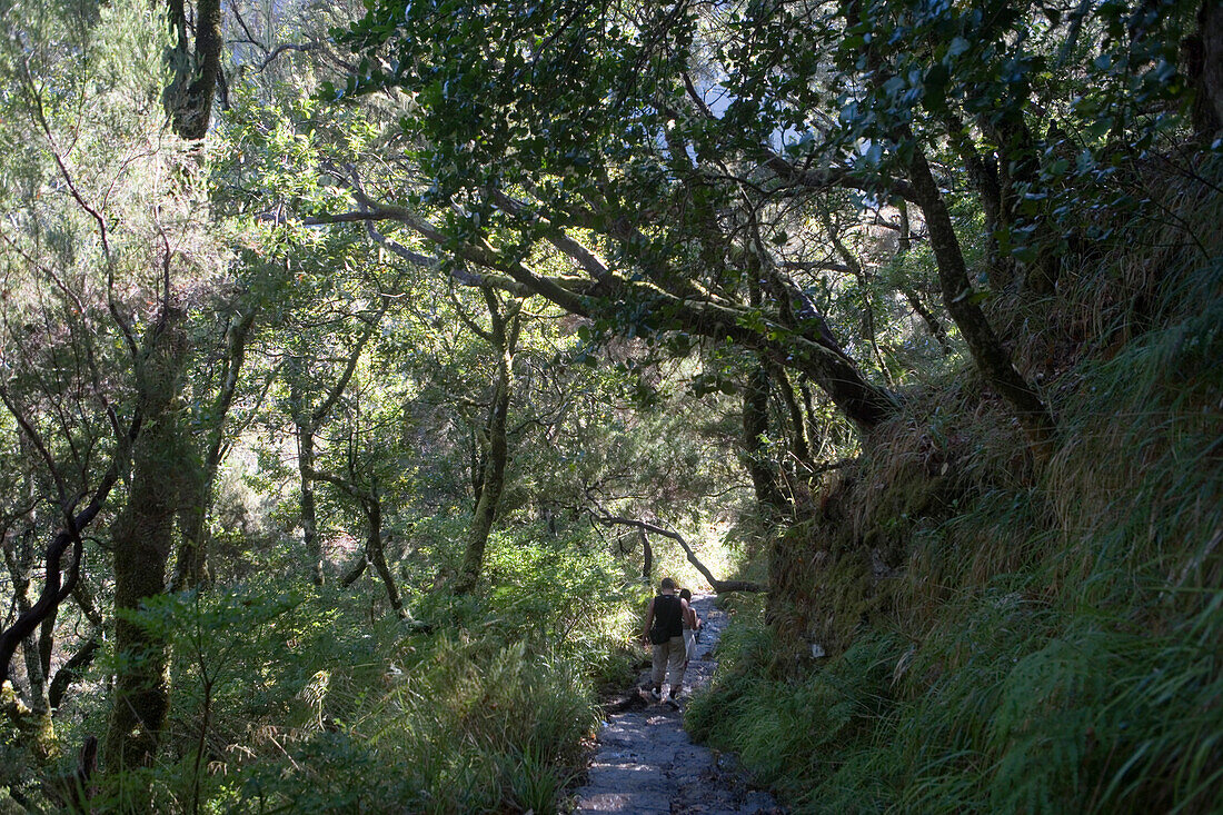 Hikers on the Levada Walk to the 25 Fontes waterfalls, Near Rabacaul, Madeira, Portugal